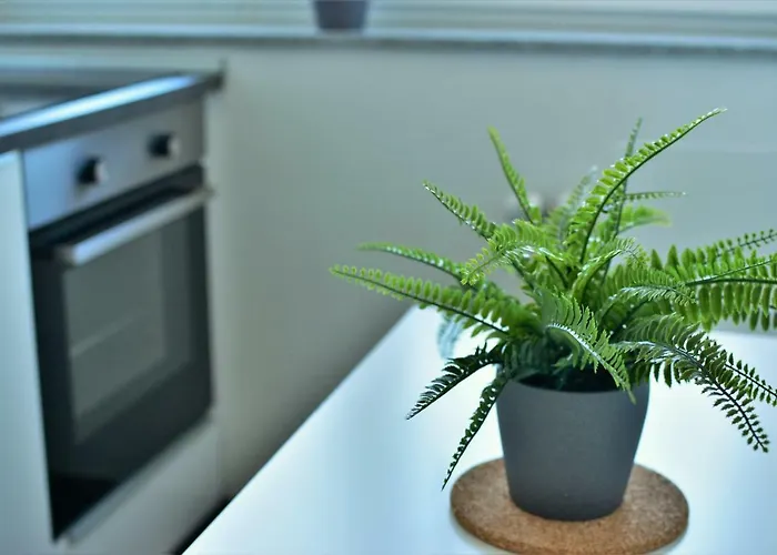 Apartamento In Deutz Colonia